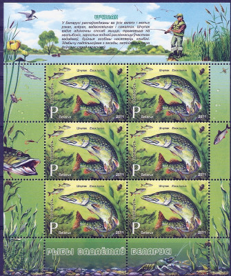 2011 r Białoruś Ark 895**