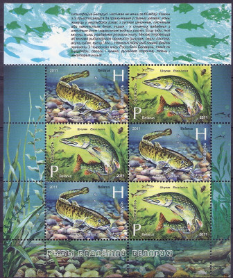 2011 r Białoruś Ark 894 - 895**