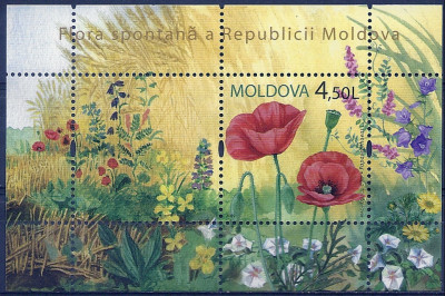 2009 r Mołdawia Blok 46**