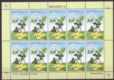 2004 r Mołdawia Ark 505 **