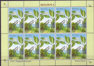 2004 r Mołdawia Ark 506 **