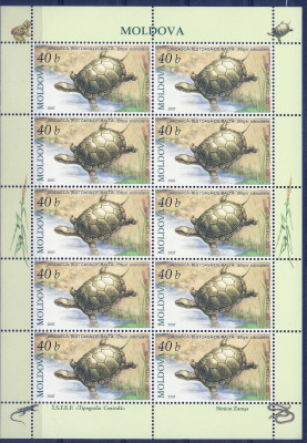 2005 r Mołdawia Ark 526 **