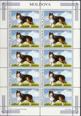 2006 r Mołdawia Ark 568**