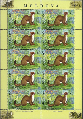 2006 r Mołdawia Ark 562**