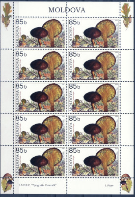 2007 r Mołdawia Ark 581**