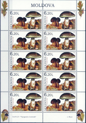 2007 r Mołdawia Ark 583**