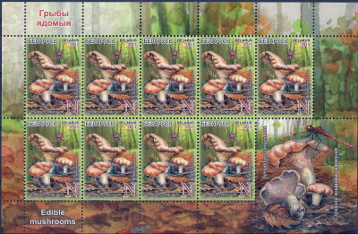 2013 r Białoruś Ark 984**