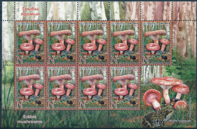 2013 r Białoruś Ark 986**