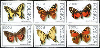 1991 r. Fi 3195 - 3200**.