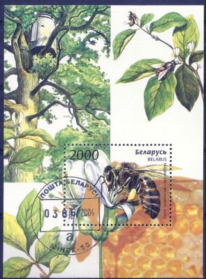 2004 r Białoruś Blok 39