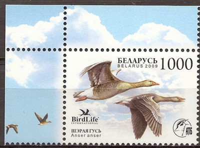 2009 r Białoruś Mi 788**