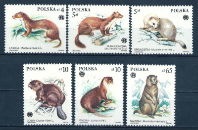 1984 r. Fi 2798- 2803**.