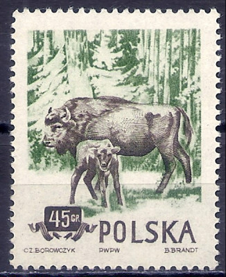 1954 r. Luzak Fi 743**.