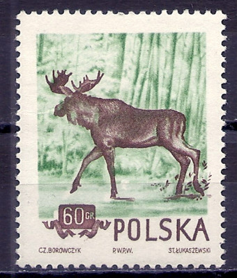 1954 r. Luzak Fi 744**.