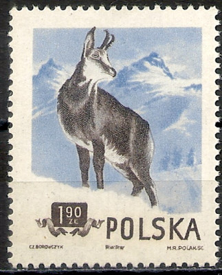 1954 r. Luzak Fi 745**.