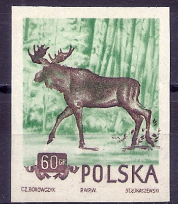 1954 r. Luzak Fi 745**.