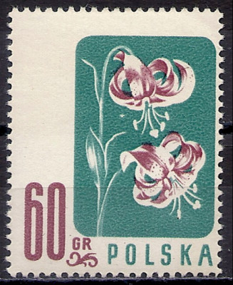 1957 r. Luzak Fi 876**.