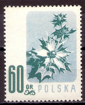 1957 r. Luzak Fi 877**.