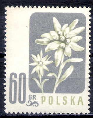 1957 r. Luzak Fi 878**.