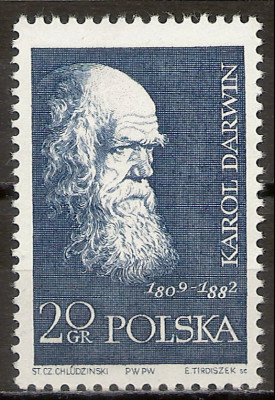 1959 r. Luzak Fi 988**.