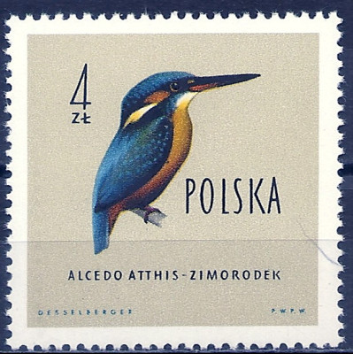 1960 r. Luzak Fi 1071**.