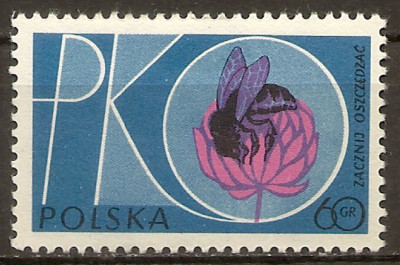 1961 r. Luzak Fi 1118**.