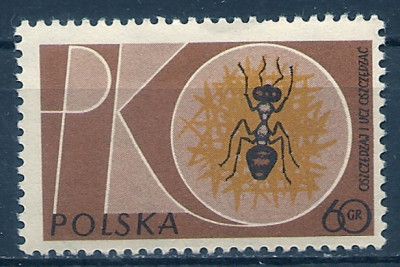 1961 r. Luzak Fi 1119**.