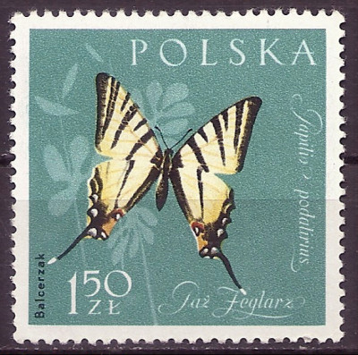 1961 r. Luzak Fi 1140**.