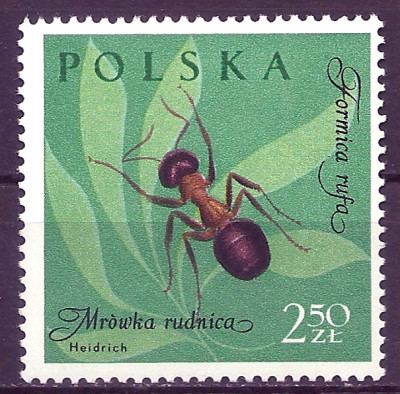 1961 r. Luzak Fi 1142**.
