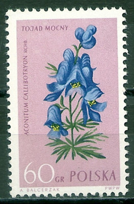 1962 r. Luzak Fi 1179**.