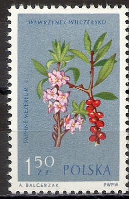 1962 r. Luzak Fi 1183**.