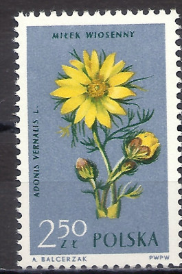 1962 r. Luzak Fi 1188**.