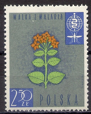 1962 r. Luzak Fi 1200**.