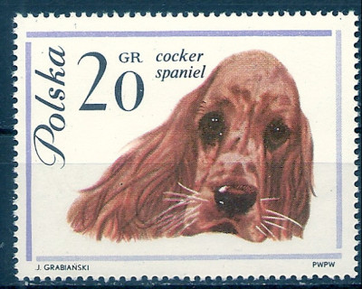 1963 r. Luzak Fi 1226**.