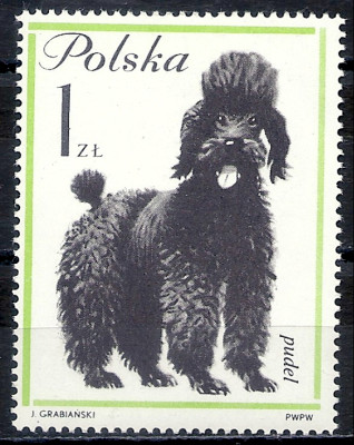 1963 r. Luzak Fi 1231**.