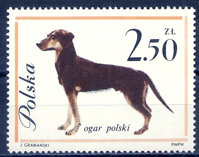 1963 r. Luzak Fi 1232**.