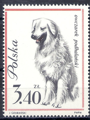 1963 r. Luzak Fi 1233**.