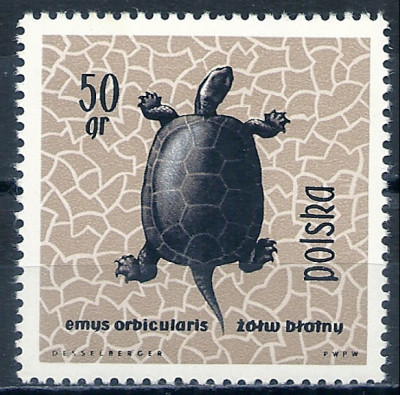 1963 r. Luzak Fi 1247**.