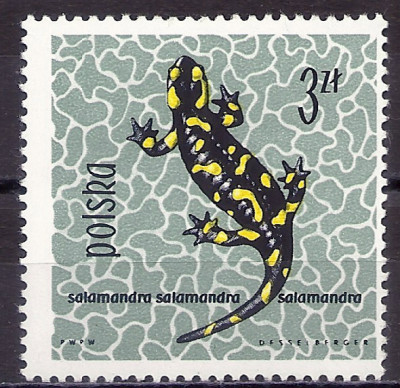 1963 r. Luzak Fi 1255**.