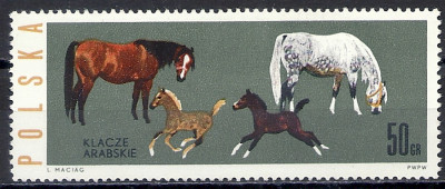 1963 r. Luzak Fi 1302**.