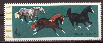 1963 r. Luzak Fi 1307**.