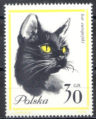 1964 r. Luzak Fi 1327**.
