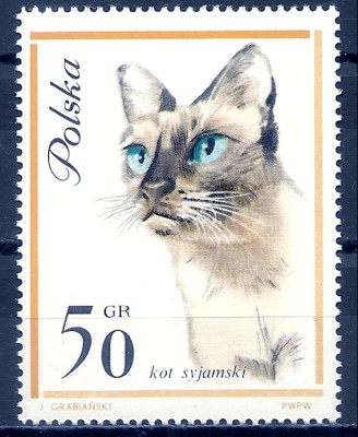 1964 r. Luzak Fi 1329**.