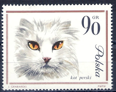 1964 r. Luzak Fi 1331**.