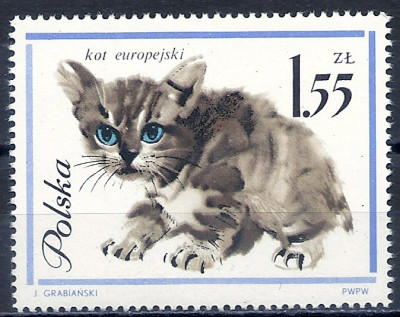 1964 r. Luzak Fi 1333**.