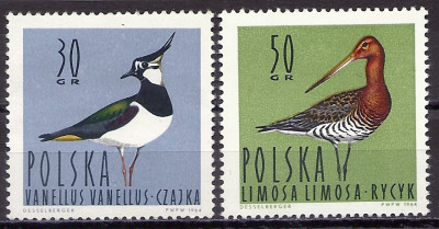 1964 r. Luzak Fi 1342 i 1344**.