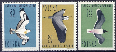 1964 r. Luzak Fi 1345 - 1347**.