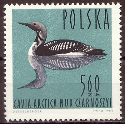 1964 r. Luzak Fi 1349**.