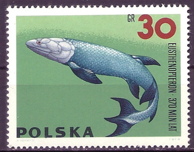 1966 r. Luzak Fi 1507**.