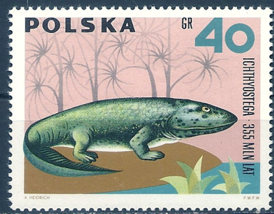 1966 r. Luzak Fi 1508**.